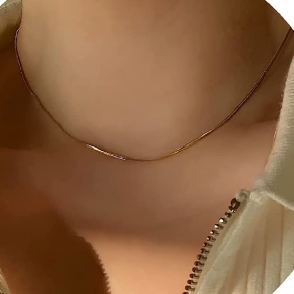 2pc Thin Snake Necklace Set - Picture 5 of 5